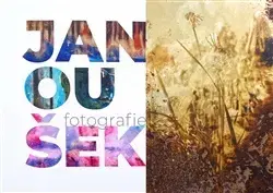 Fotografia Jan Janoušek - Fotografie - Jan Janoušek