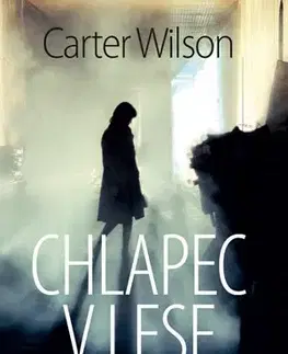 Detektívky, trilery, horory Chlapec v lese - Carter Wilson