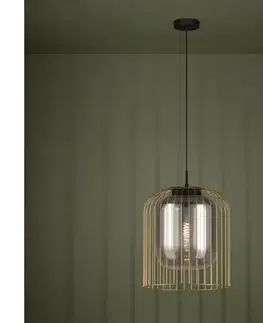 Svietidlá Eglo 39695 - Závesné svietidlo na lanku CAMINATA 1xE27/40W/230V čierna/zlatá 39695