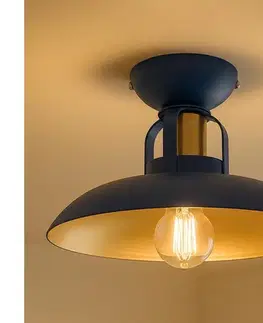 Svietidlá BRILAGI - LED Prisadený luster FLAMENGO 1xE27/60W/230V modrá BG72373