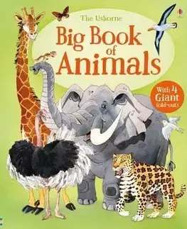 V cudzom jazyku Big Book Of Big Animals - Hazel Maskell,Fabiano Fiorin