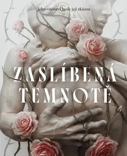 Young adults Zaslíbená temnotě - Lyndall Clipstone