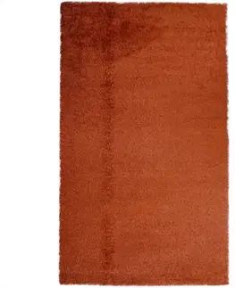 Moderné koberce Koberec Shaggy Tya 09-7 0,8/1,5 216v