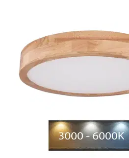 Svietidlá Globo 41745-24 - LED Stmievateľné stropné svietidlo RAINER LED/24W/230V + DO 41745-24