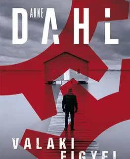 Detektívky, trilery, horory Valaki figyel - Arne Dahl