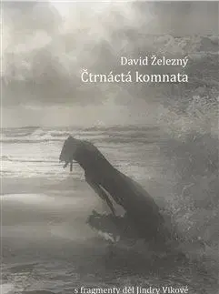 Česká poézia Čtrnáctá komnata - David Železný