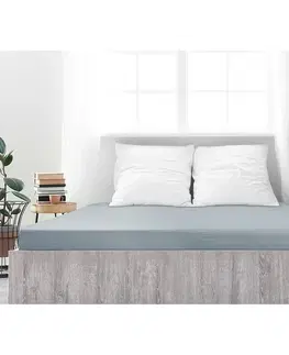 Plachty 4Home jersey prestieradlo Ideál sivá, 180 x 200 cm