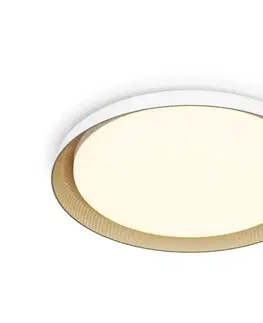 Svietidlá Philips - LED Stmievateľné stropné svietidlo PEBBLO LED/10W/230V 2700K biela 8720169301054
