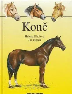 Kone Koně - Helena Kholová
