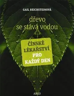 Alternatívna medicína - ostatné Dřevo se stává vodou - Gail Reichsteinová,Jiří Hes