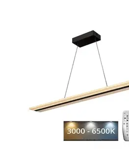 Svietidlá  LED Stmievateľný luster na lanku LED/40W/230V 3000-6500K čierna + diaľkové ovládanie J4304/B