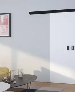 Posuvné dvere ArtAdrk Posuvné dvere TOPPO | 120 cm