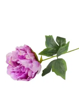 Záhradné dekorácie Peonia 52cm svetlofialová A2010437