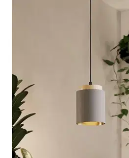 Svietidlá Eglo 99445 - Luster na lanku ALBARIZA 1xE27/40W/230V 99445