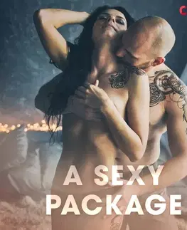 Erotická beletria Saga Egmont A Sexy Package (EN)