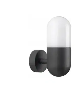 Svietidlá  Vonkajšie nástenné svietidlo HORTEN 1xE27/10W/230V IP44 314147