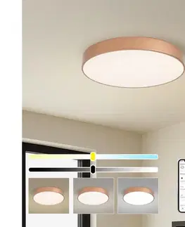 Svietidlá BRILAGI-LED Stmievateľné svietidlo POOL SMART LED/60W/230V 50 cm Wi-Fi Tuya bronzový + diaľkový ovládač BRI1030