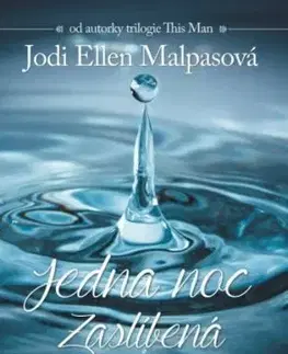 Erotická beletria Jedna noc: Zaslíbená - Jodi Ellen Malpas