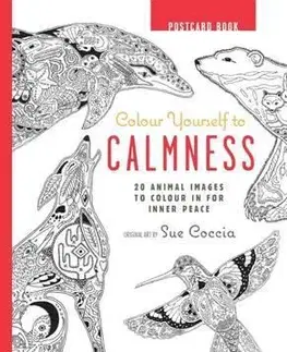 Maľovanky pre dospelých Colour Yourself to Calmness Postcard Book