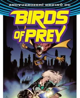 Komiksy Birds of Prey 1 - Kdo je Oracle? - Kolektív autorov,Michael Talián