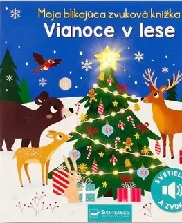 Zvukové knihy Moja blikajúca zvuková knižka - Vianoce v lese - Kasia Dudziuk,Maria Hoeck