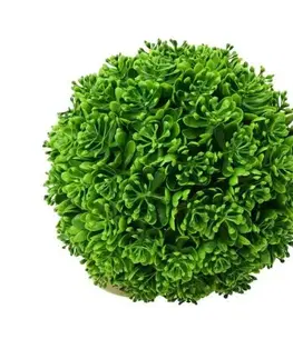Vetvičky, girlandy, kvety Kinekus Dekorácia guľa 23 cm sukulent zelená