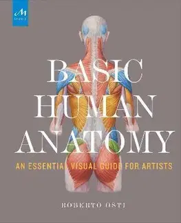 Maliarstvo, grafika Basic Human Anatomy - Roberto Osti