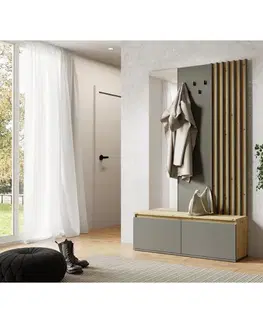 Predsieňové steny KONDELA Deris predsieň grafit / dub artisan