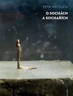 Sochárstvo, plastika O sochách a sochařích - Petr Wittlich