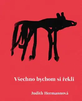 Literatúra Všechno bychom si řekli - Judith Hermann,Petr Štědroň