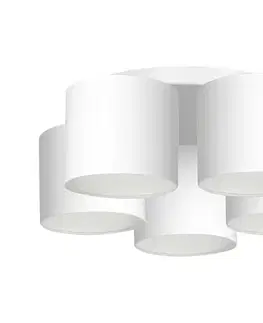 Svietidlá  Luster prisadený ARDEN 5xE27/60W/230V biela 3425