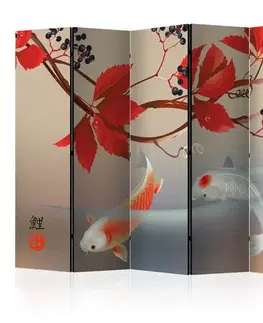 Paravány Paraván Happy Fish II Dekorhome