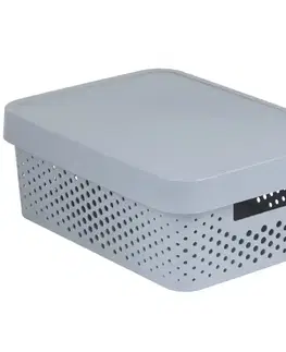 Vybavenie a dekorácie bytu Úložný box s vrchnákom Infinity 11l 229163 svetlosivá