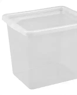Dekorácie a bytové doplnky Box s vekom Basic 30 l