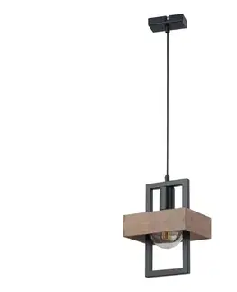 Svietidlá  Luster na lanku ROBIN 1xE27/60W/230V drevo 32215