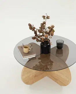 Konferenčné stolíky Konferenčný stolík Bubble Sapphire Oak Fume