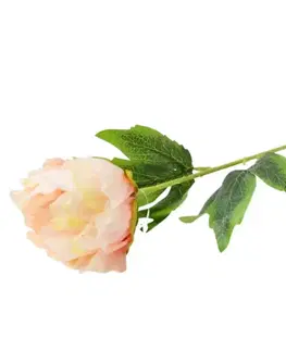 Záhradné dekorácie Peonia 52cm svetloružová A2010438
