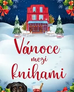 Svetová beletria Vánoce mezi knihami - Rachel Burton,Dana Šimonová