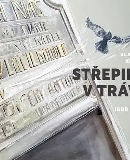 Novely, poviedky, antológie Tebenas Střepiny v trávě
