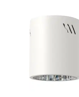 Svietidlá  Bodové svietidlo GEORGE 1xE27/60W/230V pr. 13,7 cm biela ML0481