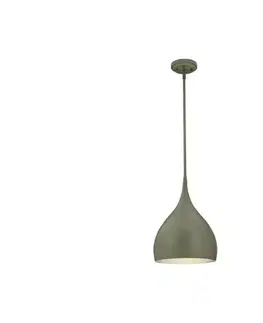 Svietidlá Westinghouse 6329340 - Závesný luster na lanku URBAN 1xE27/60W/230V 6329340