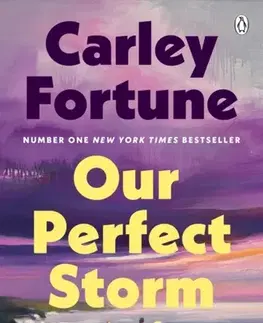 Romantická beletria Our Perfect Storm - Carley Fortune