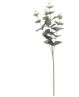 Záhradné dekorácie Eukaliptus 70cm