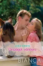 Romantická beletria Bianca 240. - Orwig Sara