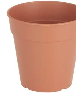 Záhrada Kvetináč MADAGASCAR 11 cm terracotta