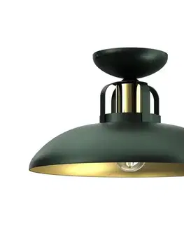 Svietidlá  Prisadený luster FELIX 1xE27/60W/230V zelená MLP7708