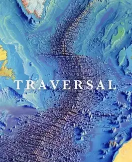 Filozofia Traversal - Maria Popova
