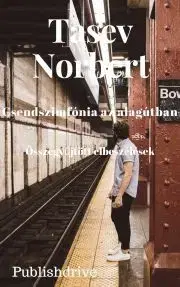 Beletria - ostatné Csendszimfónia az alagútban - Tasev Norbert