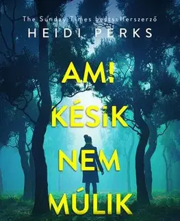 Detektívky, trilery, horory Ami késik, nem múlik - Heidi Perksová