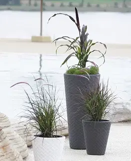 Kvetináče a truhlíky NABBI DPMT400 vysoký plastový kvetináč 40 cm antracit